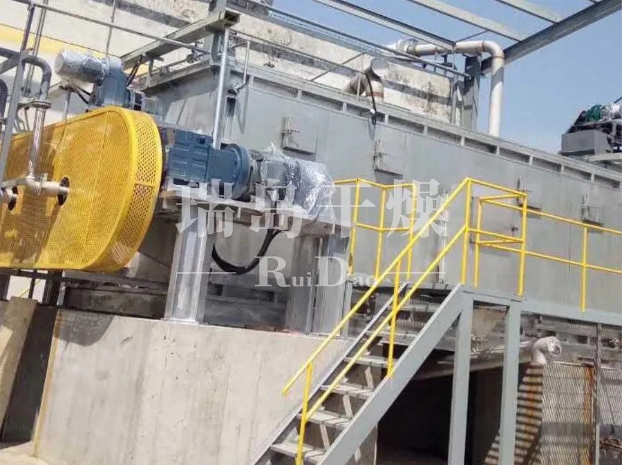 RD大型空心桨叶干燥机设备案例