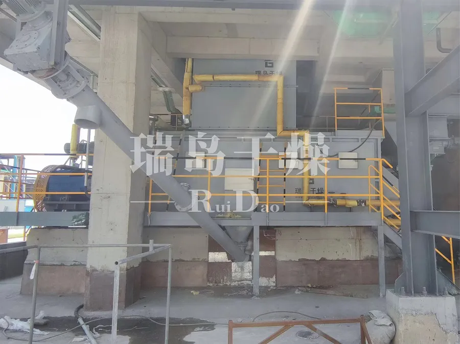 RD空心桨叶干燥机设备案例